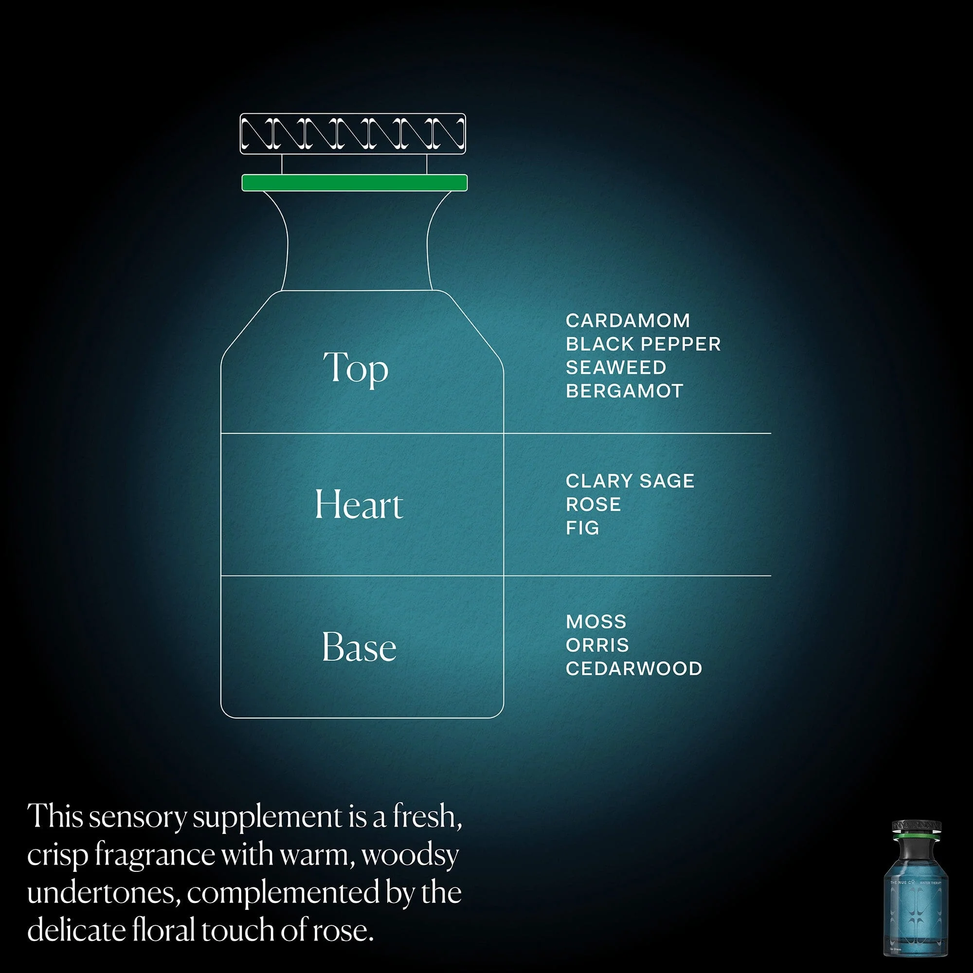 Water Therapy - Image 6